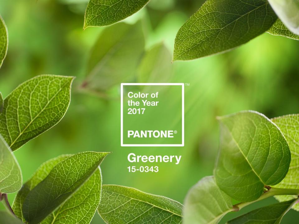 PANTONE colour of the year greenery