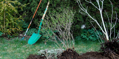 6 Ways to Give Your Garden a Spring Clean