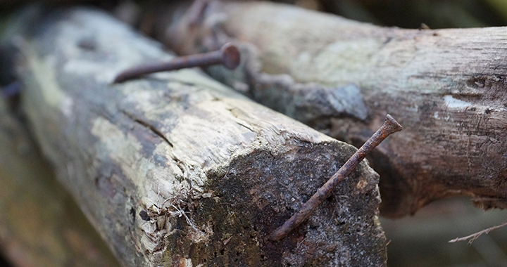 Wood with rusty nails